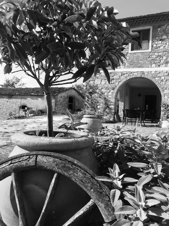 Podere Il Sasso Barberino di Mugello Extérieur photo
