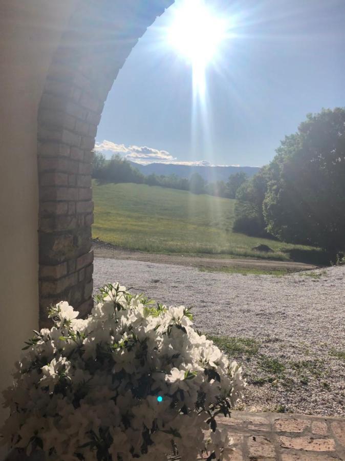 Podere Il Sasso Barberino di Mugello Extérieur photo